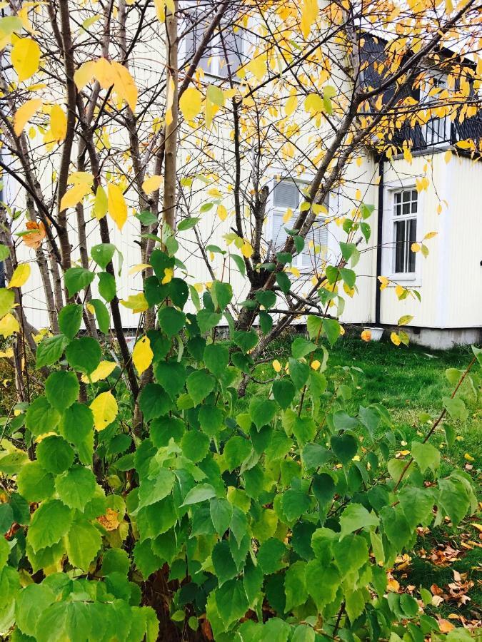 Parkgatan Villa Krylbo Екстер'єр фото